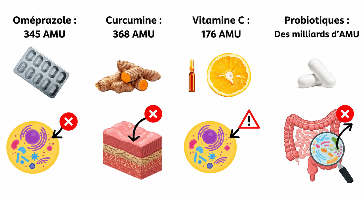 pourquoi les antioxydants classiques n'atteignent pas les zones abîmées